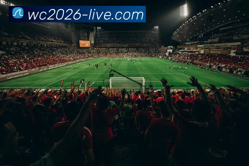 多媒体互动体验